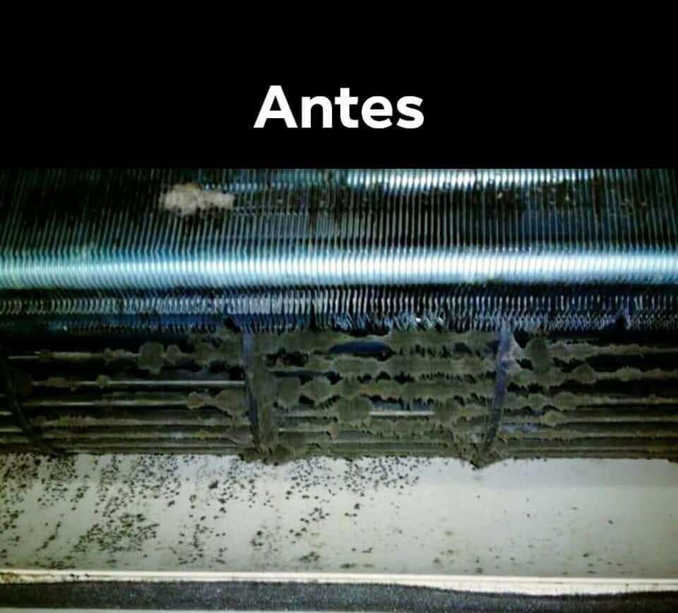 Antes del servicio